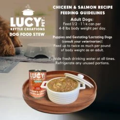 Lucy Pet Products Kettle Creations Chicken & Salmon Recipe In Gravy Wet Dog Food, 12.5-oz Can, Case Of 12 -Blue Buffalo || ROYAL CANIN || Wellness Sales 263488 PT5. AC SS1800 V1607439478