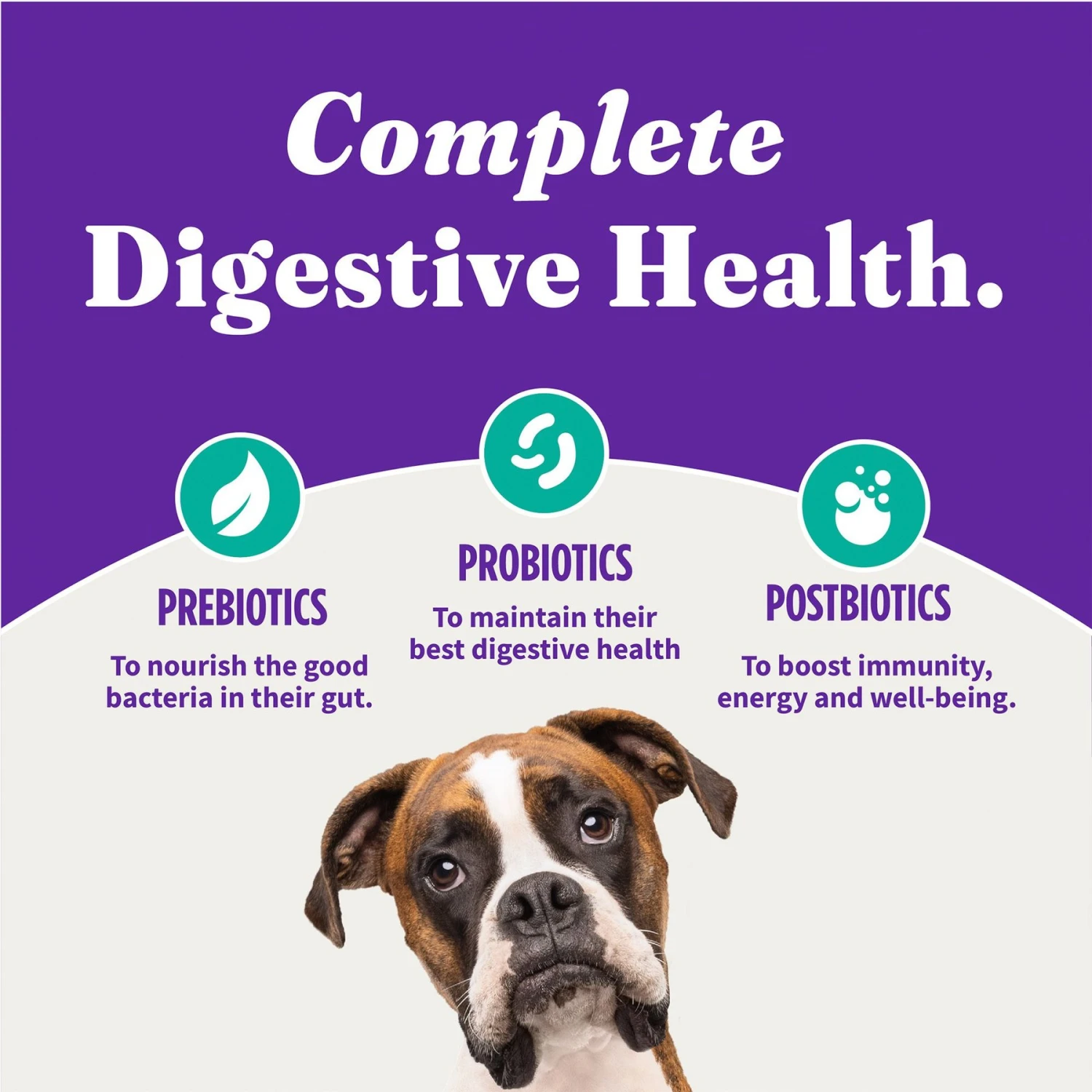 Halo Holistic Vegan Complete Digestive Health Plant-Based Recipe With Kelp Adult Formula Dry Dog Food 9 Halo Holistic Vegan Complete Digestive Health Plant-Based Recipe With Kelp Adult Formula Dry Dog Food - Image 7