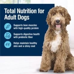 Blue Buffalo True Solutions Best Life Medium Breed Adult Dry Dog Food -Blue Buffalo || ROYAL CANIN || Wellness Sales 264558 PT2. AC SS1800 V1696449440