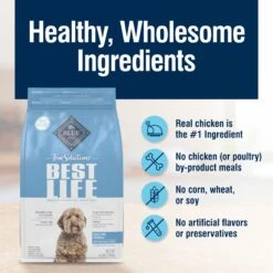 Blue Buffalo True Solutions Best Life Medium Breed Adult Dry Dog Food -Blue Buffalo || ROYAL CANIN || Wellness Sales 264558 PT5. AC SS1800 V1696449382