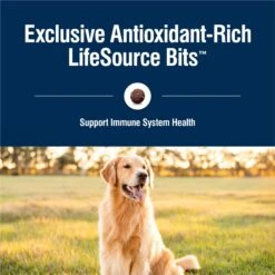 Blue Buffalo True Solutions Best Life Medium Breed Adult Dry Dog Food -Blue Buffalo || ROYAL CANIN || Wellness Sales 264558 PT6. AC SS1800 V1696449381