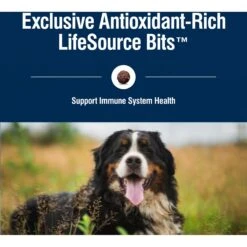 Blue Buffalo True Solutions Livin' Large Large Breed Formula Adult Dry Dog Food -Blue Buffalo || ROYAL CANIN || Wellness Sales 264574 PT6. AC SS1800 V1696449326