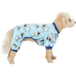 Disney Frozen's Olaf Dog & Cat Plush Fleece PJ 11 Disney Frozen's Olaf Dog & Cat Plush Fleece PJ -Blue Buffalo || ROYAL CANIN || Wellness Sales 264594 PT2. AC SS1800 V1637680017