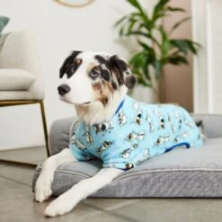 Disney Frozen's Olaf Dog & Cat Plush Fleece PJ 15 Disney Frozen's Olaf Dog & Cat Plush Fleece PJ -Blue Buffalo || ROYAL CANIN || Wellness Sales 264594 PT8. AC SS1800 V1629489007