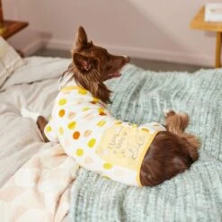 Disney Winnie The Pooh "I Love Naps" Dog & Cat Plush Fleece PJ 13 Disney Winnie The Pooh "I Love Naps" Dog & Cat Plush Fleece PJ -Blue Buffalo || ROYAL CANIN || Wellness Sales 264693 PT8. AC SS1800 V1629486753
