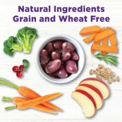 Wellness CORE Bowl Boosters Skin & Coat Dry Dog Food Topper, 4-oz Bag -Blue Buffalo || ROYAL CANIN || Wellness Sales 264871 PT4. AC SS1800 V1703709378