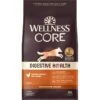 Wellness CORE Digestive Health Wholesome Grains Chicken & Brown Rice Recipe Dry Dog Food -Blue Buffalo || ROYAL CANIN || Wellness Sales 264874 MAIN. AC SS1800 V1608661969