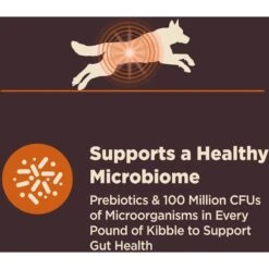 Wellness CORE Digestive Health Wholesome Grains Chicken & Brown Rice Recipe Dry Dog Food -Blue Buffalo || ROYAL CANIN || Wellness Sales 264874 PT4. AC SS1800 V1608687471