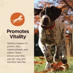 Wellness CORE Digestive Health Wholesome Grains Whitefish & Brown Rice Recipe Dry Dog Food 19 Wellness CORE Digestive Health Wholesome Grains Whitefish & Brown Rice Recipe Dry Dog Food -Blue Buffalo || ROYAL CANIN || Wellness Sales 264880 PT8. AC SS1800 V1608691643