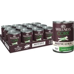 Wellness CORE Digestive Health Lamb Recipe Grain-Free Wet Dog Food