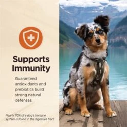 Wellness CORE Digestive Health Lamb Recipe Grain-Free Wet Dog Food -Blue Buffalo || ROYAL CANIN || Wellness Sales 264886 PT4. AC SS1800 V1623203557