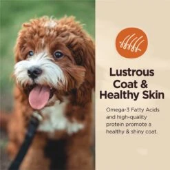 Wellness CORE Digestive Health Lamb Recipe Grain-Free Wet Dog Food -Blue Buffalo || ROYAL CANIN || Wellness Sales 264886 PT5. AC SS1800 V1623196647