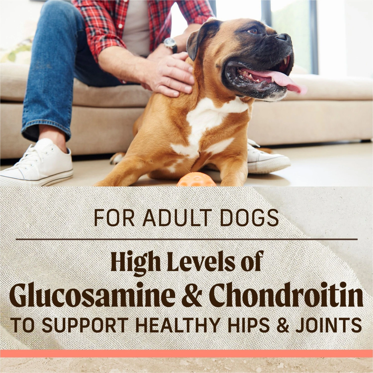 Merrick Healthy Grains Real Salmon & Brown Rice Recipe With Ancient Grains Dry Dog Food 11 Merrick Healthy Grains Real Salmon & Brown Rice Recipe With Ancient Grains Dry Dog Food - Image 9