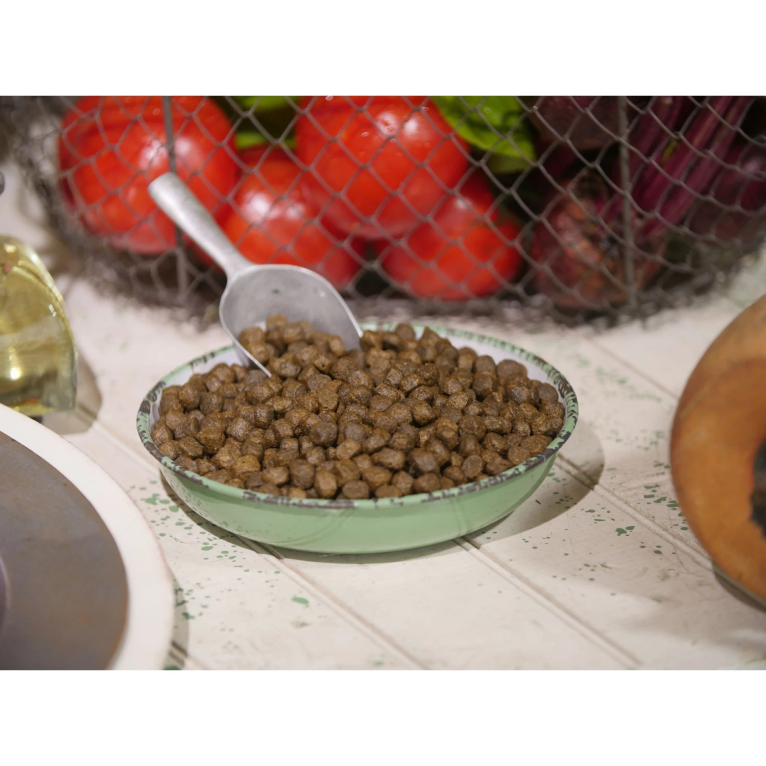 Dr. Gary's Best Breed Holistic Salmon With Vegetables & Herbs Dry Dog Food 5 Dr. Gary's Best Breed Holistic Salmon With Vegetables & Herbs Dry Dog Food - Image 3