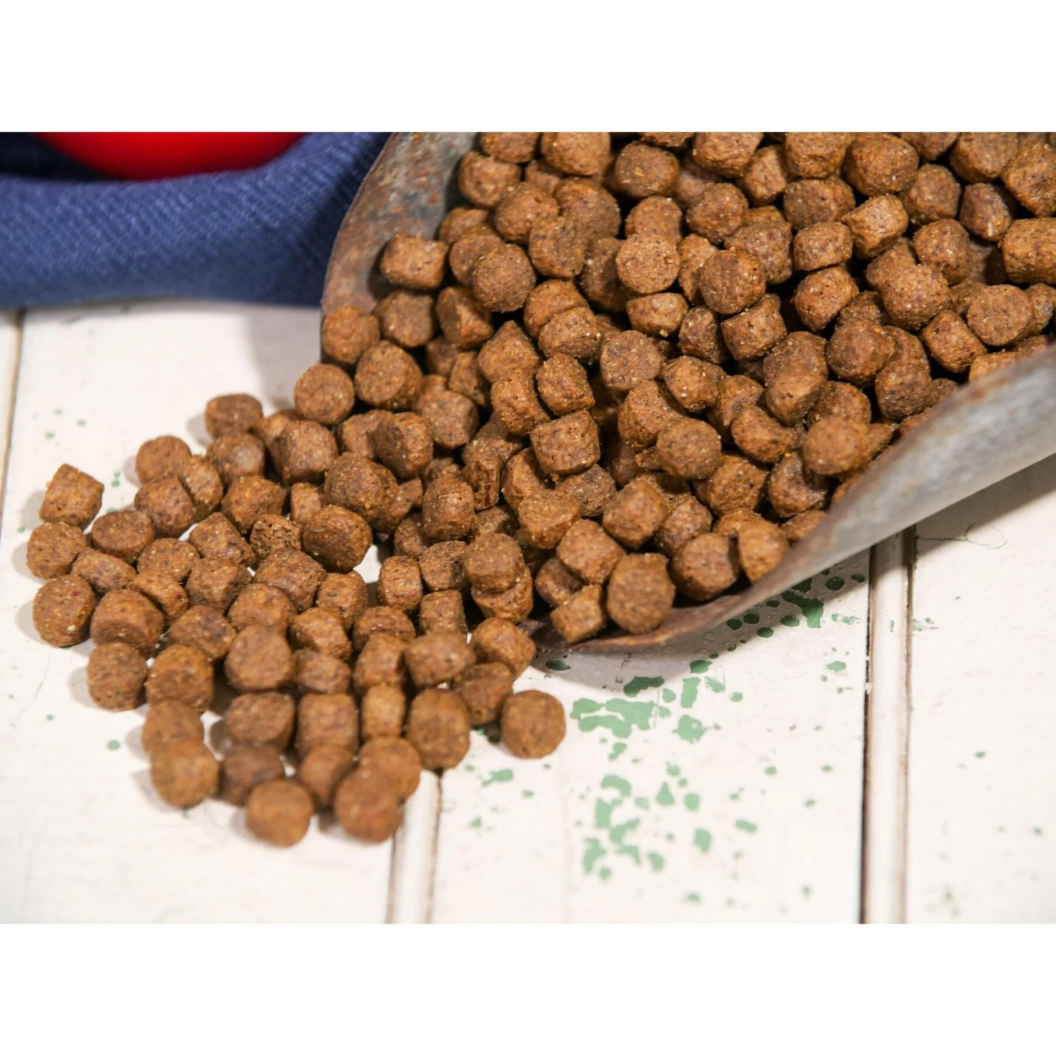 Dr. Gary's Best Breed Holistic Grain-Free Salmon With Fruits & Vegetables Dry Dog Food 5 Dr. Gary's Best Breed Holistic Grain-Free Salmon With Fruits & Vegetables Dry Dog Food - Image 3