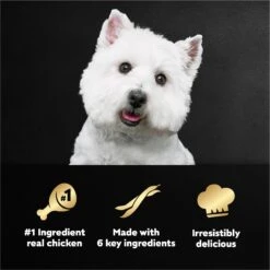 Cesar Simply Crafted Chicken, Duck, Purple Potatoes, Pumpkin, Green Beans & Brown Rice Adult Wet Dog Food Meal Topper 18 Cesar Simply Crafted Chicken, Duck, Purple Potatoes, Pumpkin, Green Beans & Brown Rice Adult Wet Dog Food Meal Topper -Blue Buffalo || ROYAL CANIN || Wellness Sales 265562 PT7. AC SS1800 V1695738936