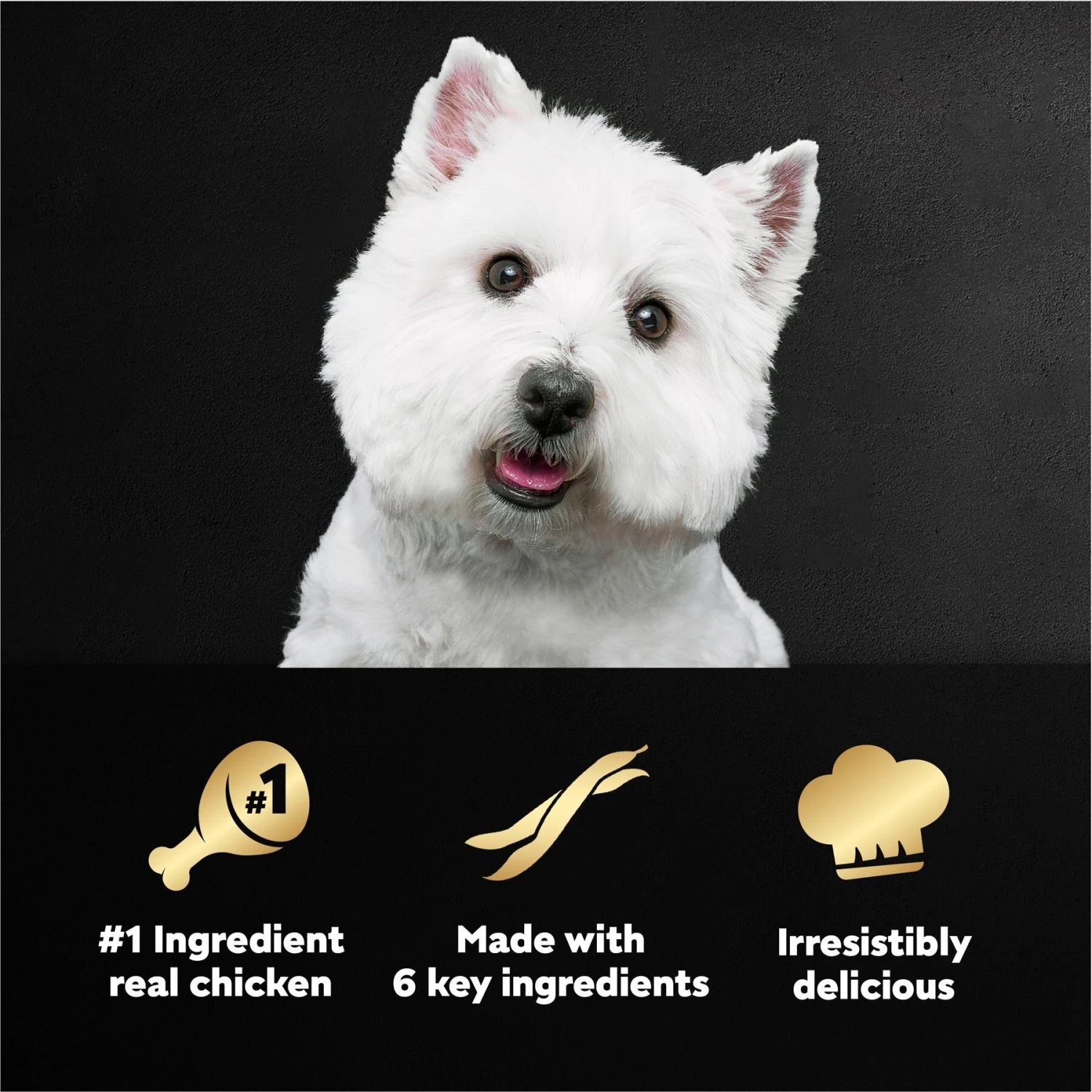 Cesar Simply Crafted Chicken, Duck, Purple Potatoes, Pumpkin, Green Beans & Brown Rice Adult Wet Dog Food Meal Topper 10 Cesar Simply Crafted Chicken, Duck, Purple Potatoes, Pumpkin, Green Beans & Brown Rice Adult Wet Dog Food Meal Topper - Image 8