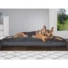 FurHaven Snuggle Deluxe Pillow Cat & Dog Bed With Removable Cover 1 FurHaven Snuggle Deluxe Pillow Cat & Dog Bed With Removable Cover -Blue Buffalo || ROYAL CANIN || Wellness Sales 265740 MAIN. AC SS1800 V1609372956