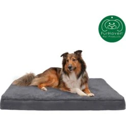 FurHaven Terry Deluxe Memory Foam Pillow Cat & Dog Bed With Removable Cover -Blue Buffalo || ROYAL CANIN || Wellness Sales 265749 PT3. AC SS1800 V1609379261