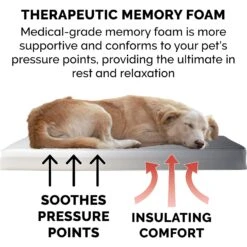 FurHaven Terry Deluxe Memory Foam Pillow Cat & Dog Bed With Removable Cover -Blue Buffalo || ROYAL CANIN || Wellness Sales 265749 PT6. AC SS1800 V1609372361