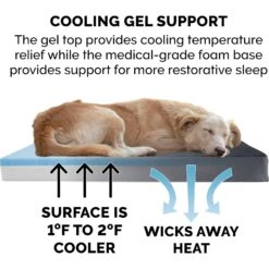 FurHaven Terry Deluxe Cooling Gel Pillow Cat & Dog Bed With Removable Cover -Blue Buffalo || ROYAL CANIN || Wellness Sales 265755 PT6. AC SS1800 V1609380446