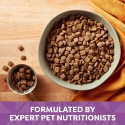 Nature's Recipe Adult Lamb, Barley & Brown Rice Recipe Dry Dog Food -Blue Buffalo || ROYAL CANIN || Wellness Sales 266854 PT3. AC SS1800 V1672851234