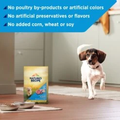 Nature's Recipe Puppy Lamb & Rice Recipe Dry Dog Food -Blue Buffalo || ROYAL CANIN || Wellness Sales 266859 PT4. AC SS1800 V1672851776