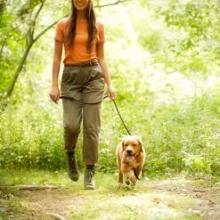 Nature's Recipe Puppy Lamb & Rice Recipe Dry Dog Food -Blue Buffalo || ROYAL CANIN || Wellness Sales 266859 PT5. AC SS1800 V1672842444