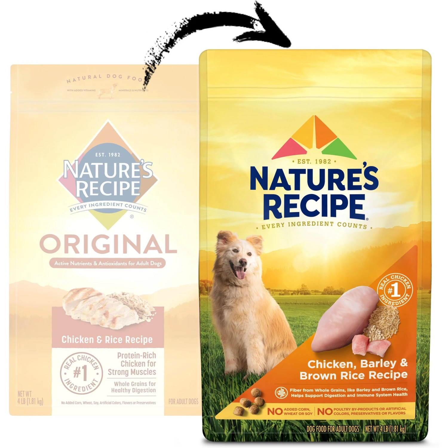 Nature's Recipe Adult Chicken, Barley & Brown Rice Recipe Dry Dog Food 4 Nature's Recipe Adult Chicken, Barley & Brown Rice Recipe Dry Dog Food - Image 2
