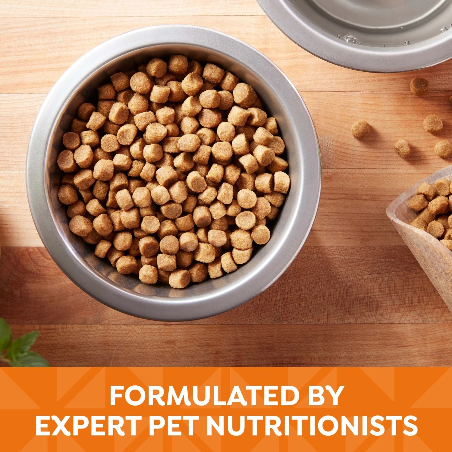 Nature's Recipe Adult Chicken, Barley & Brown Rice Recipe Dry Dog Food 6 Nature's Recipe Adult Chicken, Barley & Brown Rice Recipe Dry Dog Food - Image 4