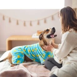 Frisco Dog & Cat Cozy Plush Fleece PJs, Rubber Ducky 12 Frisco Dog & Cat Cozy Plush Fleece PJs, Rubber Ducky -Blue Buffalo || ROYAL CANIN || Wellness Sales 268465 PT5. AC SS1800 V1637690846