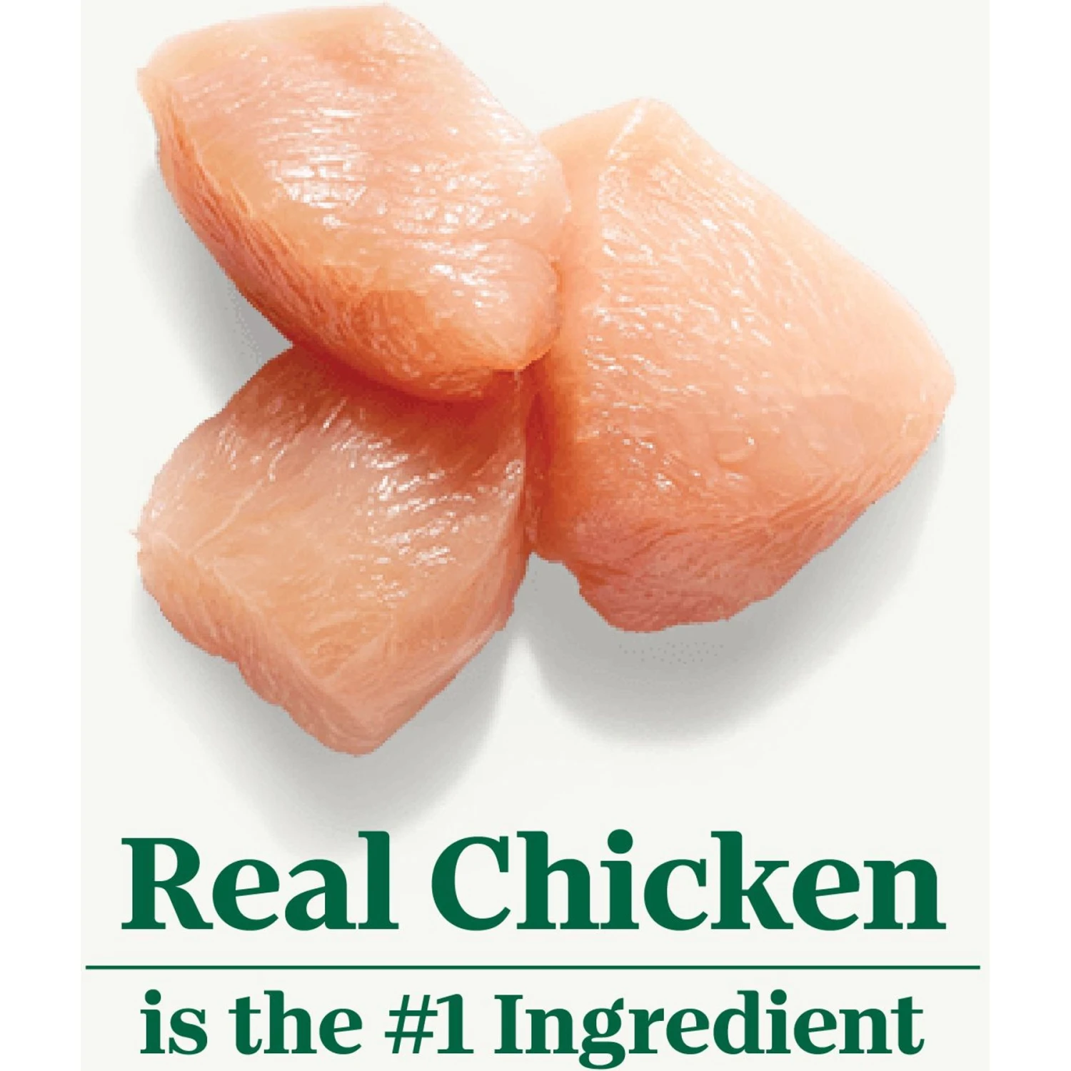 Nutro Natural Choice Puppy Chicken & Brown Rice Recipe Dry Dog Food 6 Nutro Natural Choice Puppy Chicken & Brown Rice Recipe Dry Dog Food - Image 4