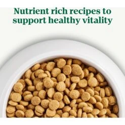 Nutro Natural Choice Puppy Chicken & Brown Rice Recipe Dry Dog Food 19 Nutro Natural Choice Puppy Chicken & Brown Rice Recipe Dry Dog Food -Blue Buffalo || ROYAL CANIN || Wellness Sales 269148 PT8. AC SS1800 V1691418448