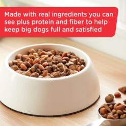 Rachael Ray Nutrish Big Life Large Breed Hearty Beef, Veggies & Brown Rice Recipe Dry Dog Food -Blue Buffalo || ROYAL CANIN || Wellness Sales 269171 PT3. AC SS1800 V1652768798