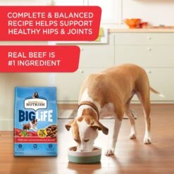 Rachael Ray Nutrish Big Life Large Breed Hearty Beef, Veggies & Brown Rice Recipe Dry Dog Food -Blue Buffalo || ROYAL CANIN || Wellness Sales 269171 PT4. AC SS1800 V1652740612