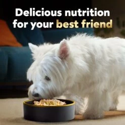 Cesar Wholesome Bowls Chicken, Carrots, Barley & Green Beans Recipe Small Breed Adult Wet Dog Food -Blue Buffalo || ROYAL CANIN || Wellness Sales 269183 PT7. AC SS1800 V1695650670