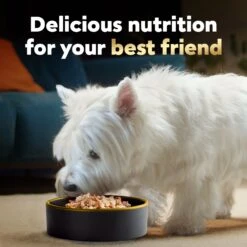 Cesar Wholesome Bowls Beef, Chicken, Potatoes & Carrots Recipe Small Breed Adult Wet Dog Food 18 Cesar Wholesome Bowls Beef, Chicken, Potatoes & Carrots Recipe Small Breed Adult Wet Dog Food -Blue Buffalo || ROYAL CANIN || Wellness Sales 269189 PT7. AC SS1800 V1695655152