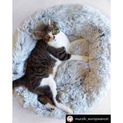 Mr. Peanut's OrthoPlush Orthopedic Cat & Dog Bed -Blue Buffalo || ROYAL CANIN || Wellness Sales 271217 PT4. AC SS1800 V1612399008