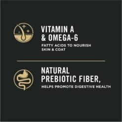 Purina Pro Plan Complete Essentials Shredded Blend Turkey & Rice Formula High Protein Dry Dog Food -Blue Buffalo || ROYAL CANIN || Wellness Sales 271621 PT6. AC SS1800 V1649203345