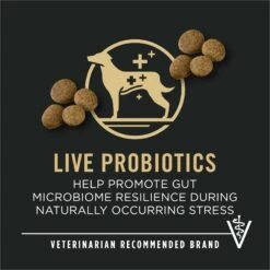 Purina Pro Plan Specialized Beef & Rice Formula High Protein Large Breed Dry Dog Food -Blue Buffalo || ROYAL CANIN || Wellness Sales 271625 PT8. AC SS1800 V1649215996