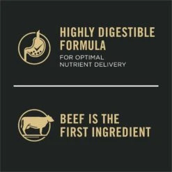 Purina Pro Plan Development Beef & Rice Formula High Protein Large Breed Dry Puppy Food -Blue Buffalo || ROYAL CANIN || Wellness Sales 271628 PT7. AC SS1800 V1649226992
