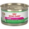 Royal Canin Puppy Appetite Stimulation Canned Dog Food -Blue Buffalo || ROYAL CANIN || Wellness Sales 272067 MAIN. AC SS1800 V1696441070