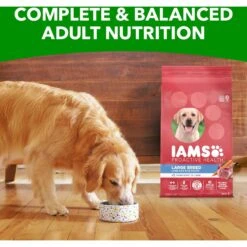 Iams Lamb & Rice Recipe Large Breed Dry Dog Food 19 Iams Lamb & Rice Recipe Large Breed Dry Dog Food -Blue Buffalo || ROYAL CANIN || Wellness Sales 272308 PT8. AC SS1800 V1667865461