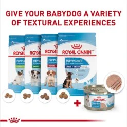 Royal Canin Size Health Nutrition Starter Mother & Babydog Mousse In Sauce Canned Dog Food 16 Royal Canin Size Health Nutrition Starter Mother & Babydog Mousse In Sauce Canned Dog Food -Blue Buffalo || ROYAL CANIN || Wellness Sales 272675 PT5. AC SS1800 V1697212426