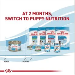 Royal Canin Size Health Nutrition Starter Mother & Babydog Mousse In Sauce Canned Dog Food 17 Royal Canin Size Health Nutrition Starter Mother & Babydog Mousse In Sauce Canned Dog Food -Blue Buffalo || ROYAL CANIN || Wellness Sales 272675 PT6. AC SS1800 V1697216753