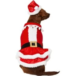 Frisco Mrs. Claus Dog & Cat Costume 10 Frisco Mrs. Claus Dog & Cat Costume -Blue Buffalo || ROYAL CANIN || Wellness Sales 276150 PT3. AC SS1800 V1631572139
