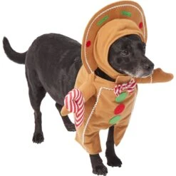 Frisco Front Walking Gingerbread Dog & Cat Costume -Blue Buffalo || ROYAL CANIN || Wellness Sales 276156 PT3. AC SS1800 V1631660334