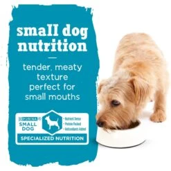 Purina Beneful IncrediBites Pate With Real Beef, Tomatoes, Carrots & Spinach Wet Dog Food, 3-oz Can, Case Of 24 -Blue Buffalo || ROYAL CANIN || Wellness Sales 276921 PT6. AC SS1800 V1700159793