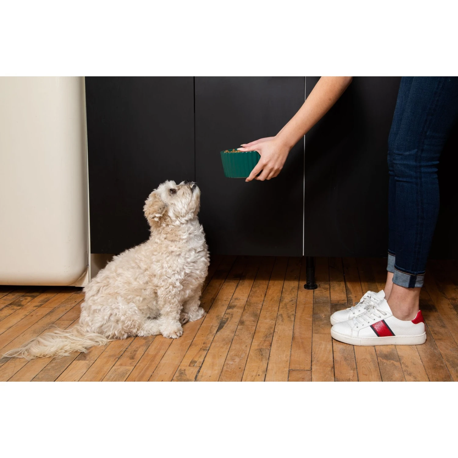 Waggo Ripple Solid Ceramic Dog & Cat Bowl 4 Waggo Ripple Solid Ceramic Dog & Cat Bowl - Image 2