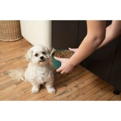 Waggo Ripple Solid Ceramic Dog & Cat Bowl 11 Waggo Ripple Solid Ceramic Dog & Cat Bowl -Blue Buffalo || ROYAL CANIN || Wellness Sales 277046 PT2. AC SS1800 V1698093466